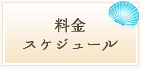 料金 スケジュール